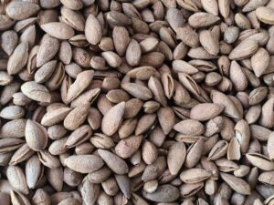 Almonds With Shell