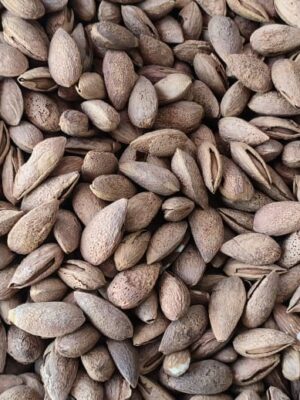 Almonds With Shell