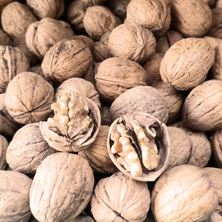 American walnut - Hashim Mart