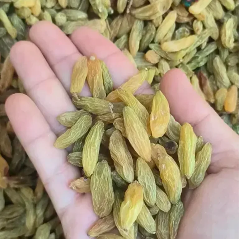 raisin - Hashim Mart