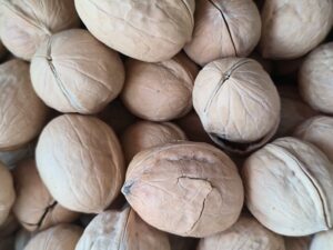 Premium Walnuts – Fresh, Crunchy & Nutrient-Packed