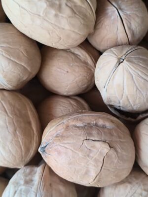 Premium Walnuts – Fresh, Crunchy & Nutrient-Packed
