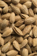 Kaghzi Badam Premium (Soft-Shelled Almonds) - Image 2
