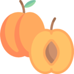 Dried Fresh Fruits
