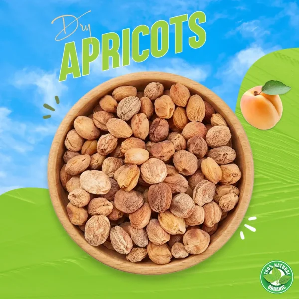 Premium Dried Apricots