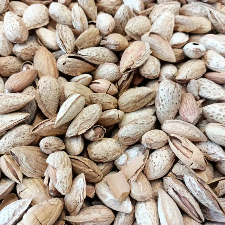 american-almond-2800 - Hashim Mart