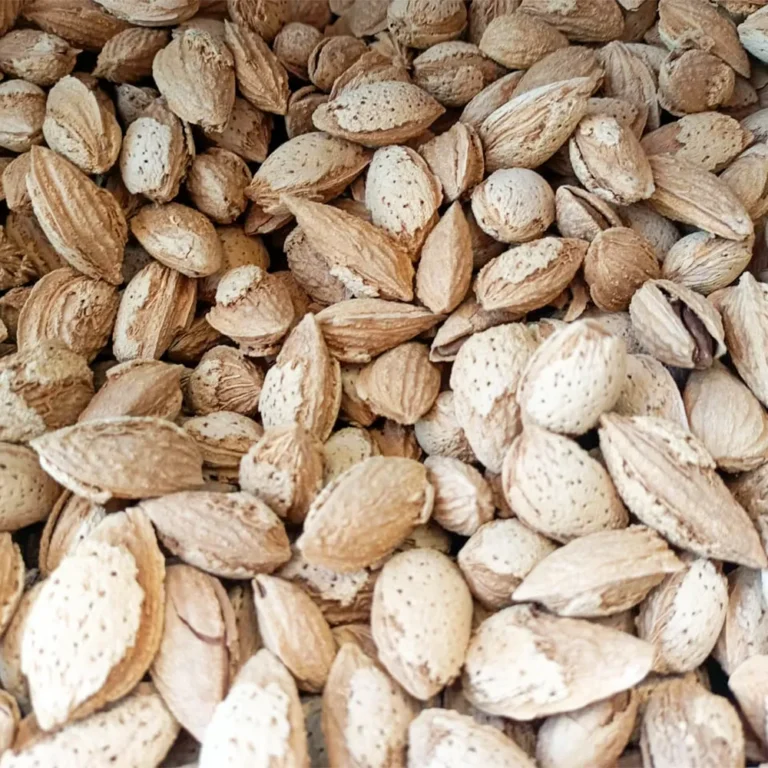 australian almonds 2000 - Hashim Mart