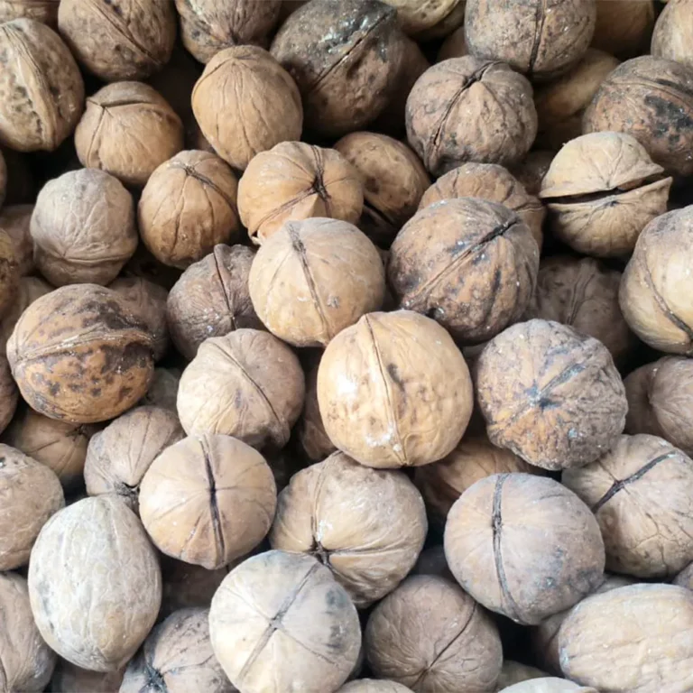 chili walnut1400 - Hashim Mart