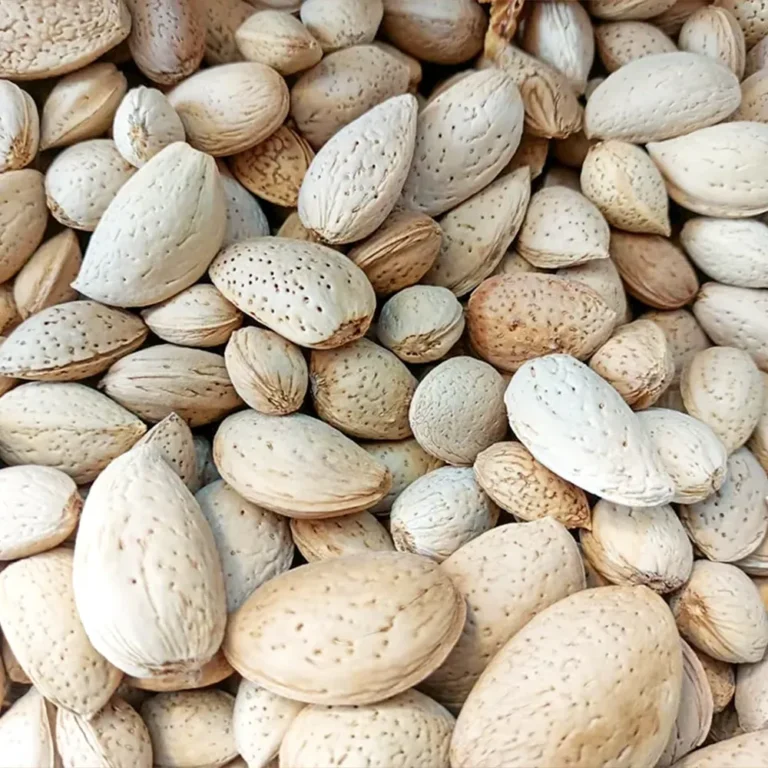 kaghzi-almonds-1000 copy - Hashim Mart