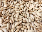 premium kaghzi almonds-1600pg - Hashim Mart