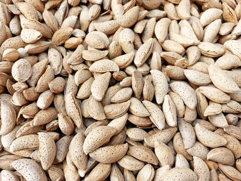 premium kaghzi almonds-1600pg - Hashim Mart