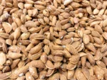 roasted-adghani-almond-3000 - Hashim Mart