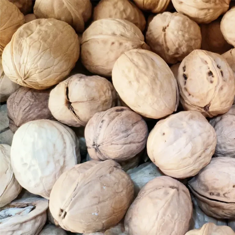 china walnut 900 - Hashim Mart